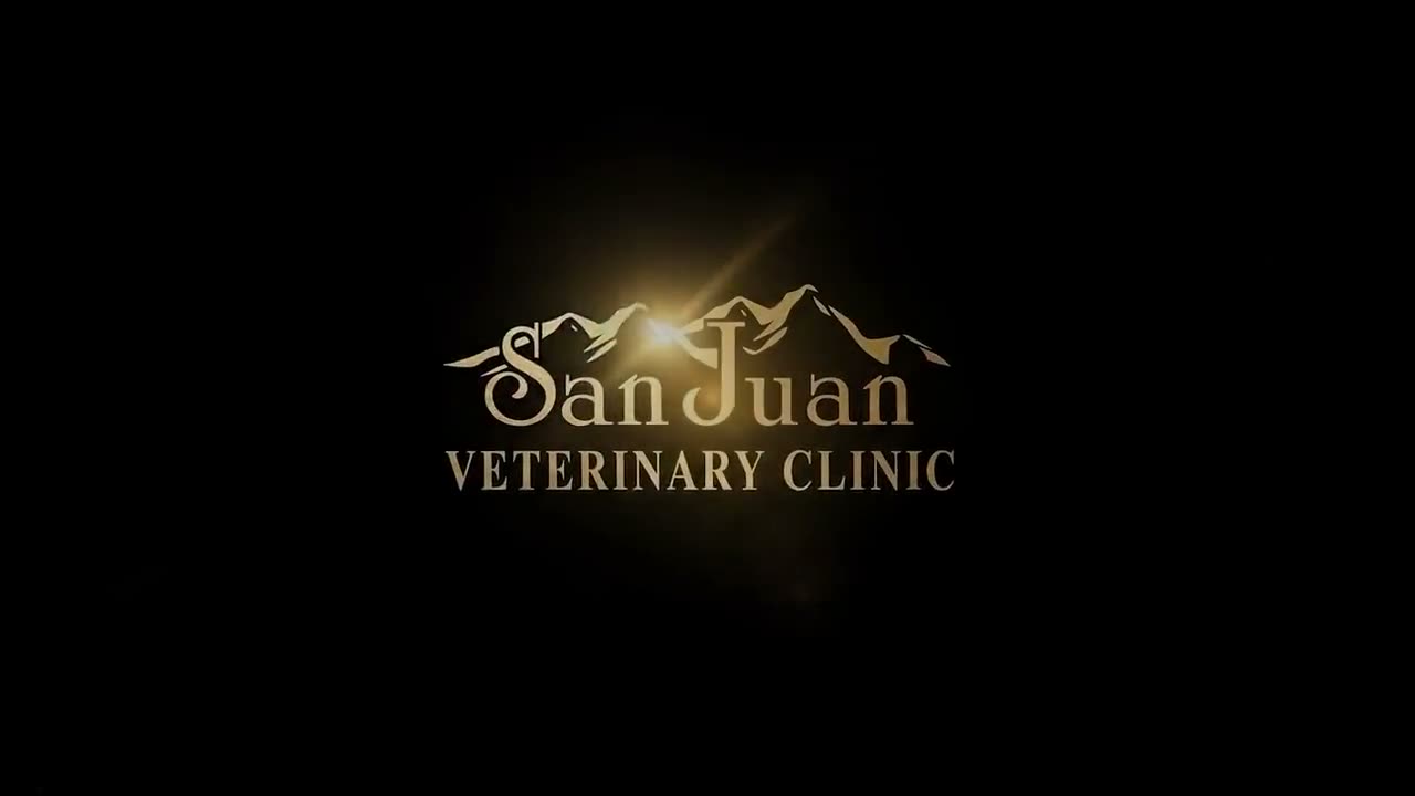 AI-produced veterinary practice film