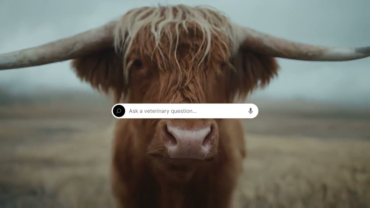 AI-produced product explainer